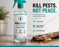 How to Get Rid of Termites in Furniture and Walls in Pakistan