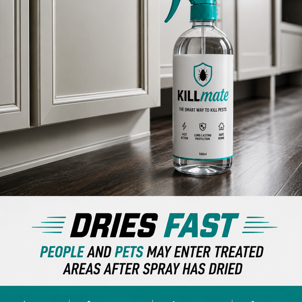 Killmate Bedbug Killer Spray